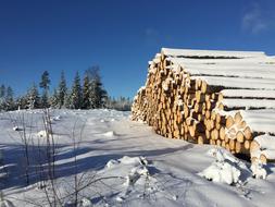 Winter Landscape Finland Felled