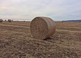 Hay Bale Farm