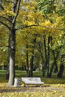 white bench in a green park in St. Petersburg