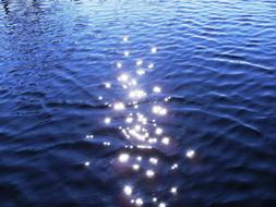 Rays Blue Lake water