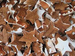 Asterisk Wooden