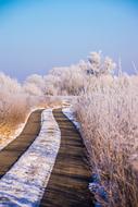 Winter Snow Nature