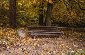 Park Bench Rest