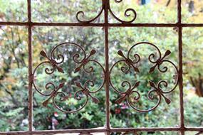 antique iron fence