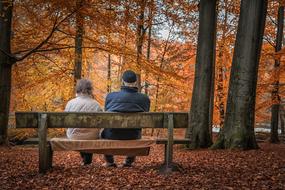 Autumn Forest Pair