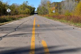 Road Fall Landscape