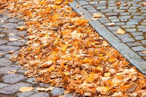 Road Cobblestones Sidewalk