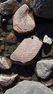 Sea Water Stone