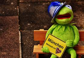 Munich green frog