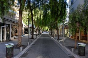 Trees on City Street