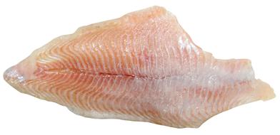fish fillet on white background