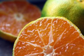 Sweet juicy orange