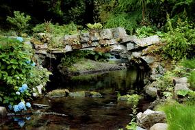 Bridge Summer River