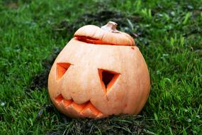 sad pumpkin in the grass