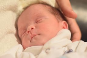 portrait of Baby Newborn Child