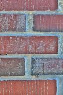 Brick Texture