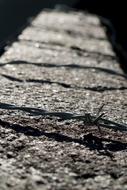 Close-up of the wall, with the barbed wire, in light and shadow