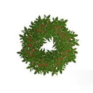 wreath green decoration leaves