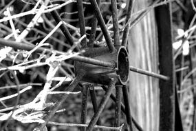 Wagon Wheel Black And White Rustic