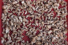 dried mushrooms on the table