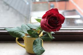 Rose Red Flower decoration