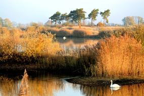 Landscape Autumn Lake