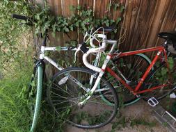 Bike Bicycle Vine