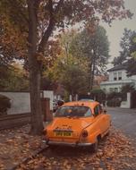 London Street in Autumn