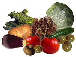 vegetables on white background