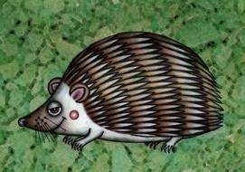illustration hedgehog drawing