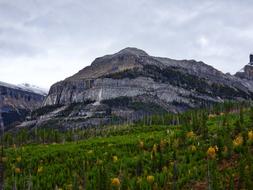 Autumn Mountains Forest scenery