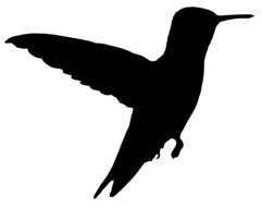 black silhouette of a flying hummingbird