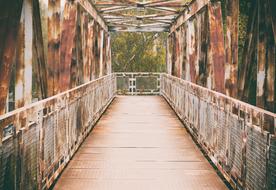 wooden big bridge in the forest