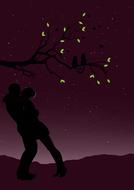 casal night boyfriends nature