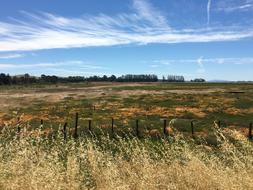 Field Landscape Rural Blue
