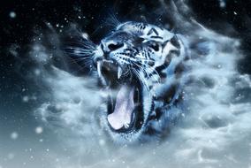 tiger head as a drawing