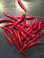 hot long pepper