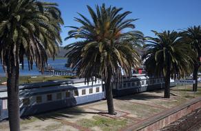 Classic Rail Knysna Steam Trains