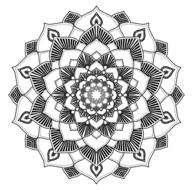 mandala lines pattern shape line drawing