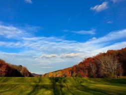 green countryside with autumn forest background