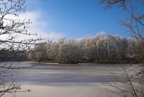 Pond Lake Nature