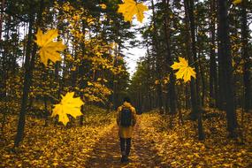 Man in yellow Autumn Fall forest