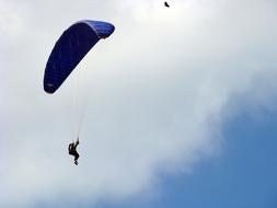 Bird Parachuting