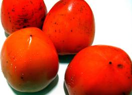 orange Persimmon Fruit on a white background