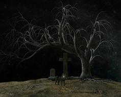 wild wolf at the grave