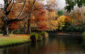 Landscape Scenic Calm