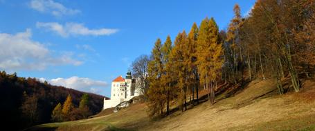 Peskova Skala is a Castle in Suloszowa, Poland