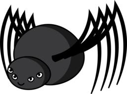 black friendly spider