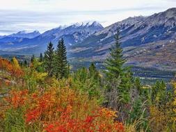 Autumn Mountains and Forest