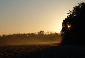 Morning Sun Cold